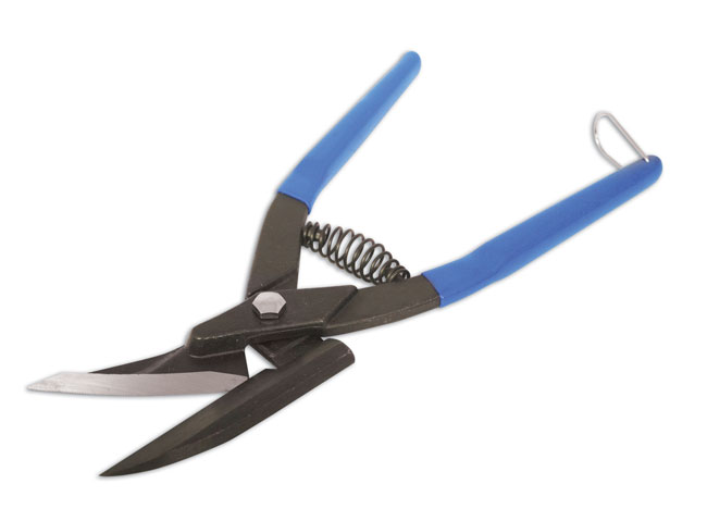 Angled head shears