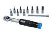 8383 LTR Torque Wrench Set 1/4"D 2-20Nm